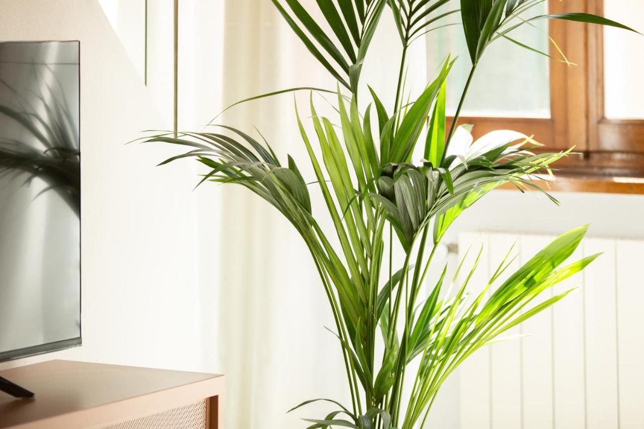 La Corticella Luxury Suite, With Terrace Lucca Ngoại thất bức ảnh